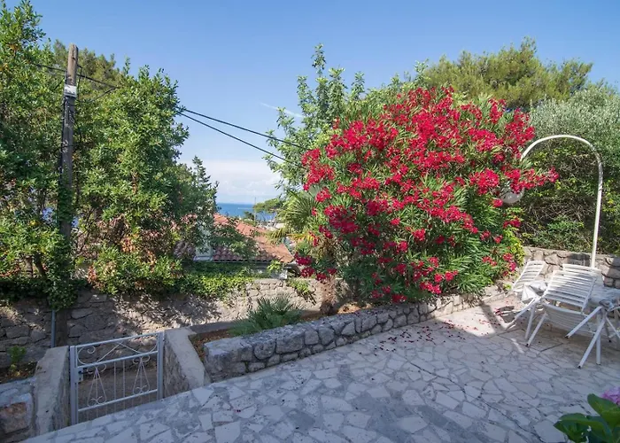 Maison d'hôtes Branka